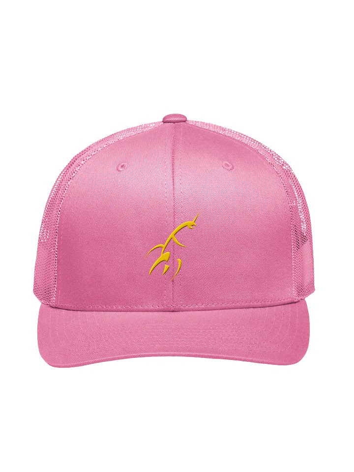 Pink Rocket Hat product image (1)