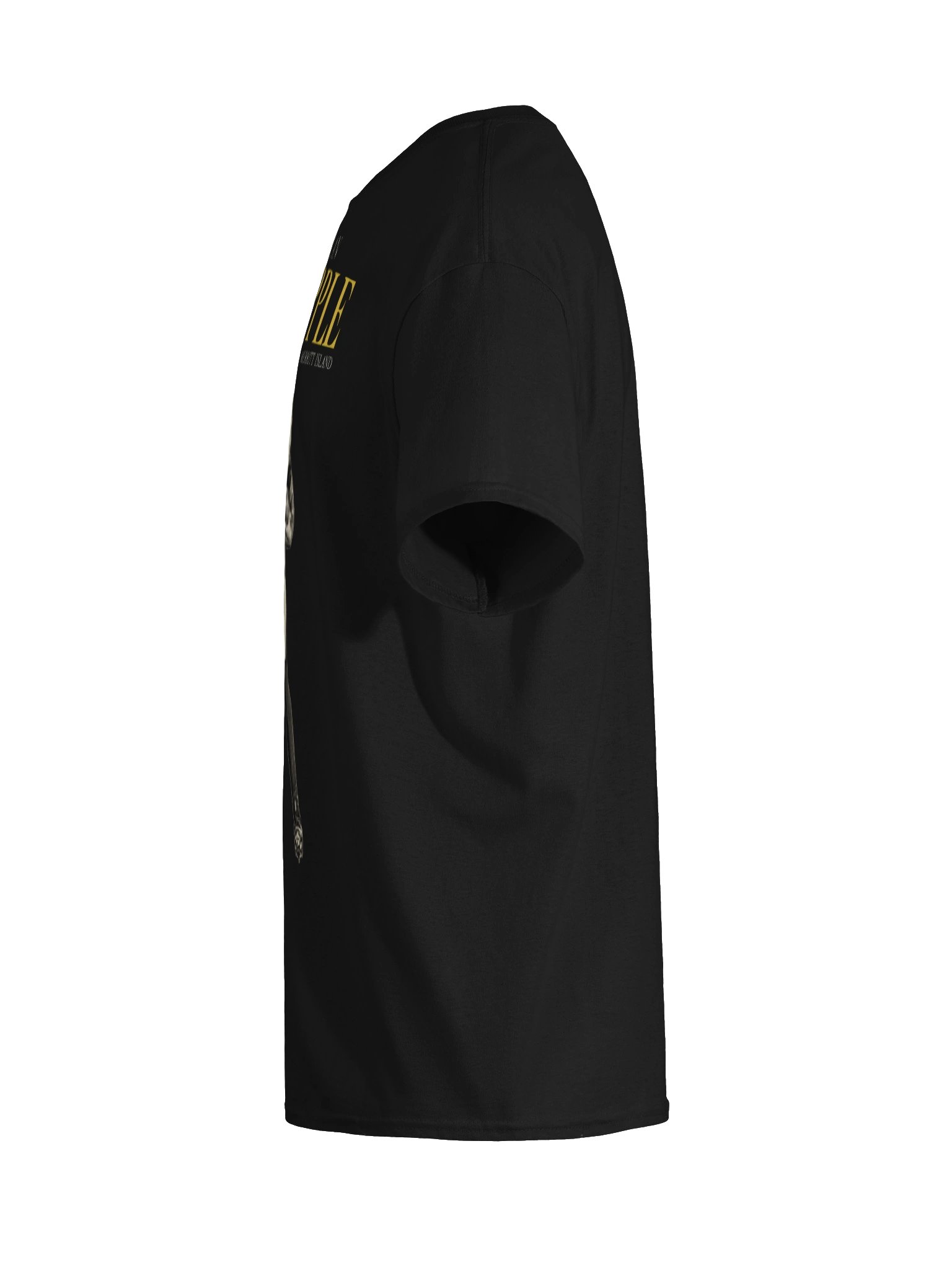 Zaylan Chapple #2 — Legacy Tee product image (9)