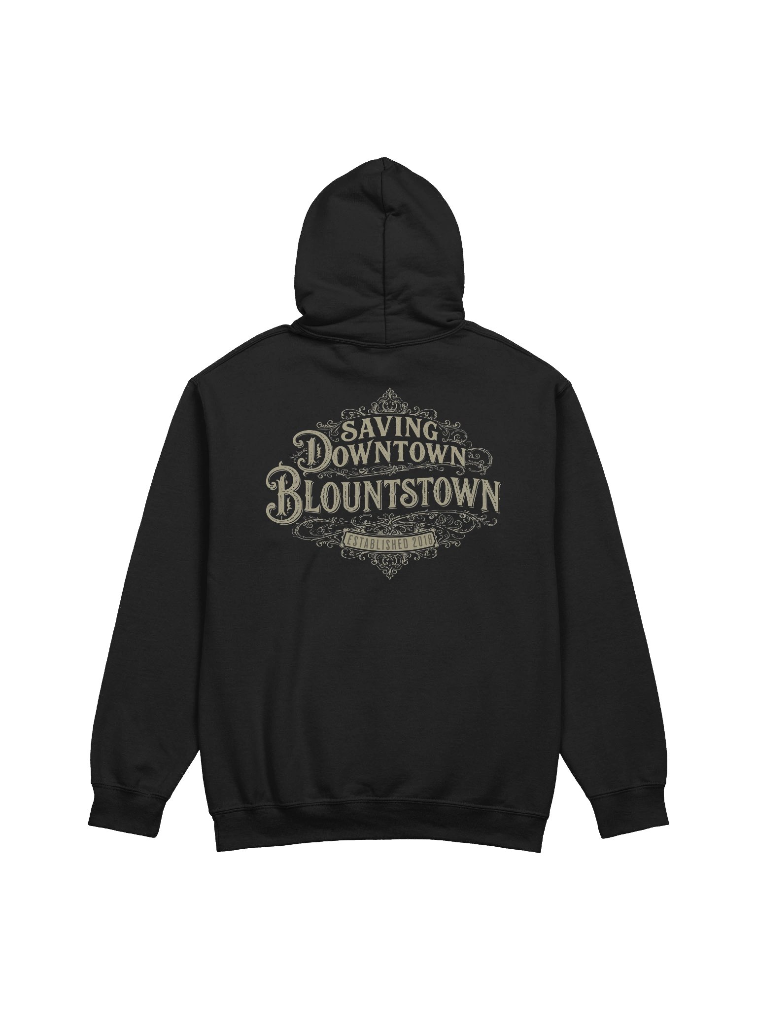 Saving Downtown Blountstown Hoodie product image (2)