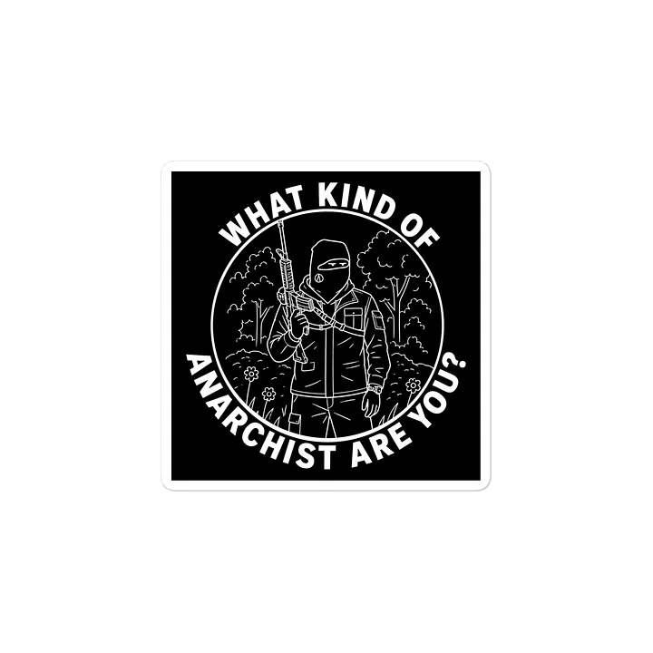 WHAT KIND OF ANARCHIST ARE YOU? product image (2)