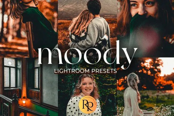8 Lightroom Presets for Mobile product image (1)