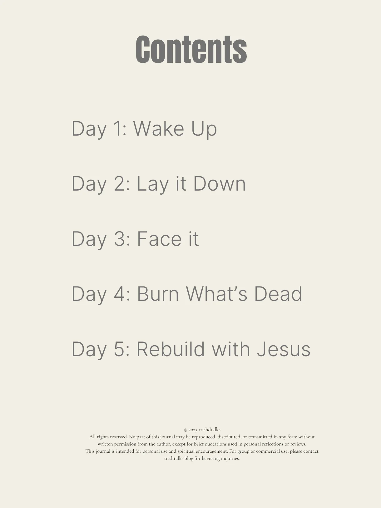 Faith Reset: Burn the Religion & Rebuild the Fire product image (2)