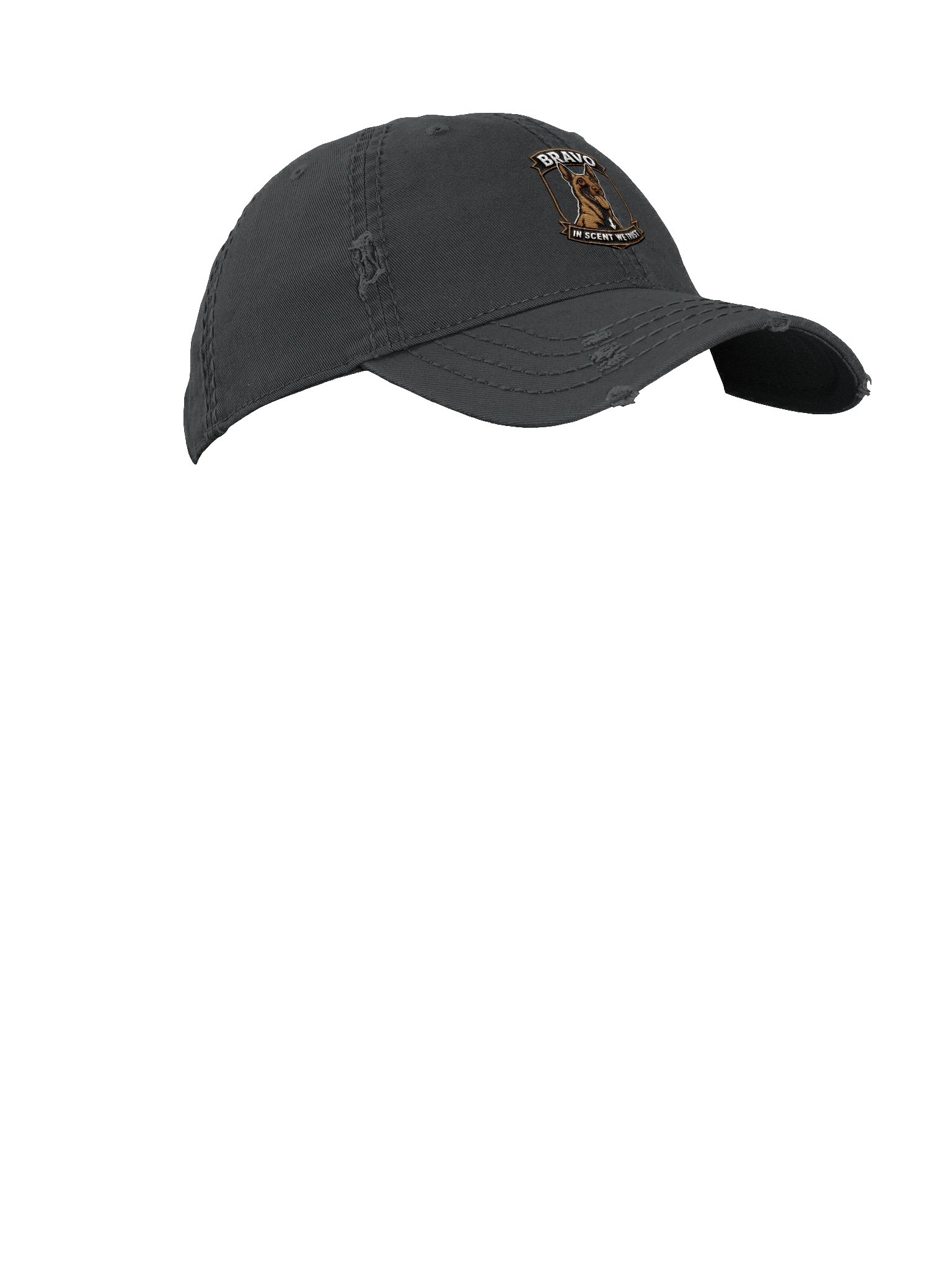 Distressed In Scent We Trust Hat product image (7)