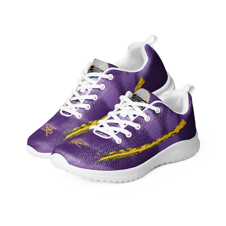 TGR Men's Shoe product image (2)