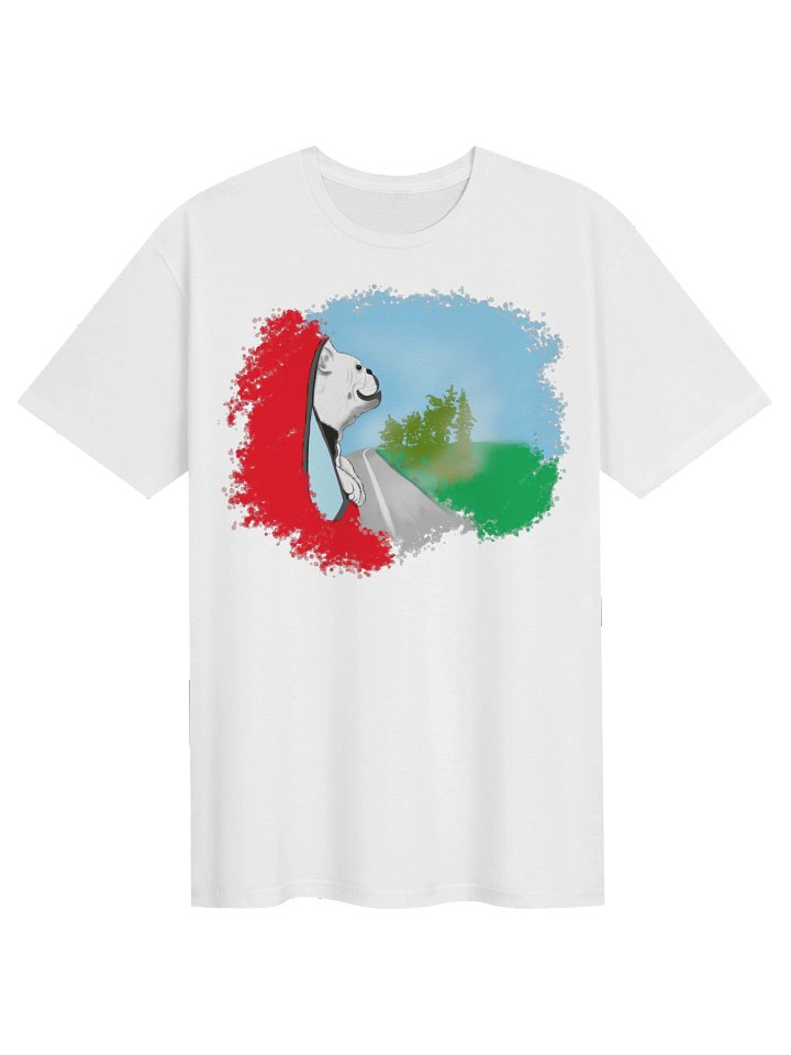 Unisex Gildan Softstyle T-Shirt product image (1)