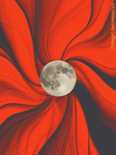 Admiring the moon is one of my favorite hobbies♡

#fullmoon #moonlovers #moon