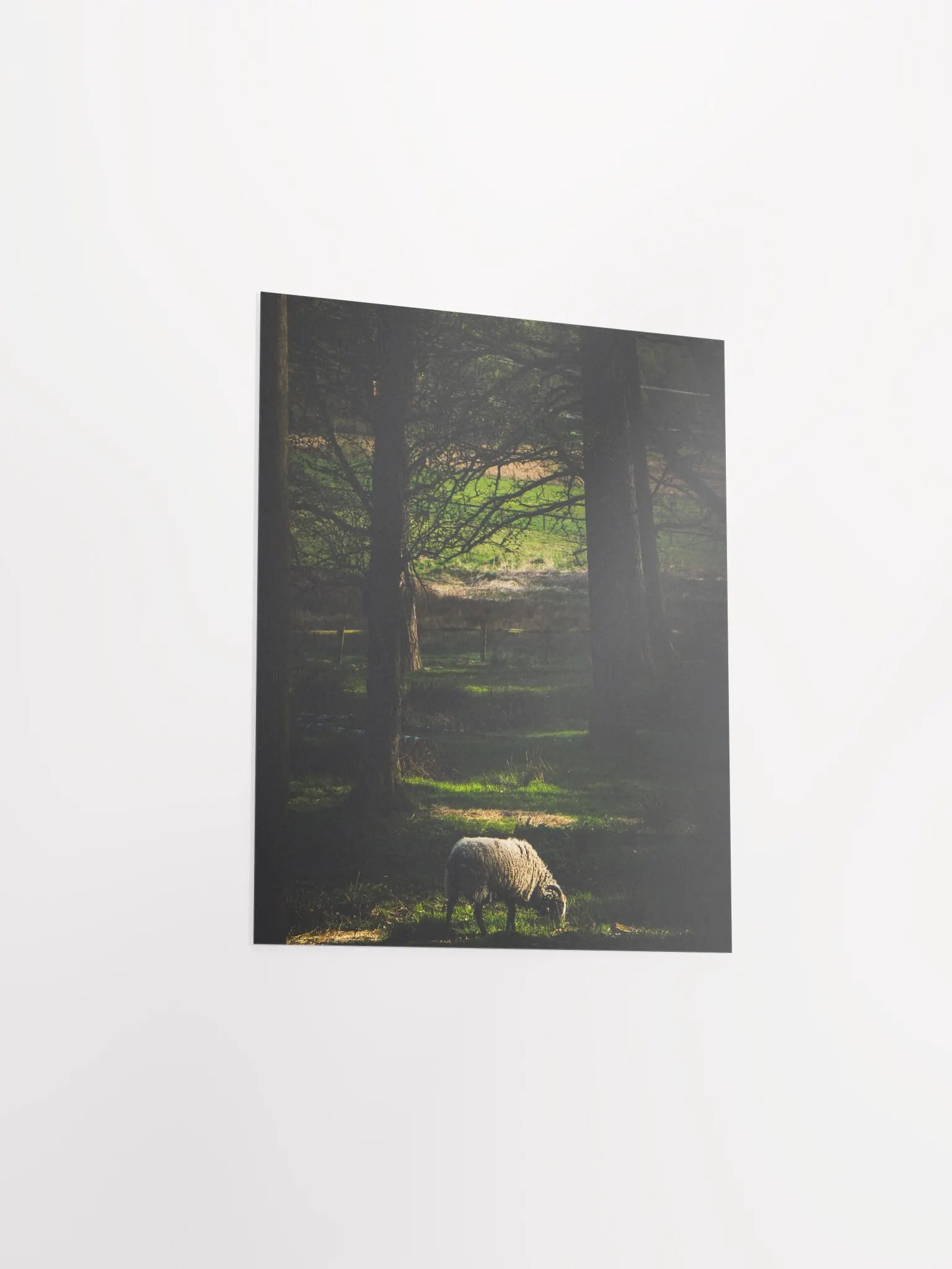 The Goat product image (8)