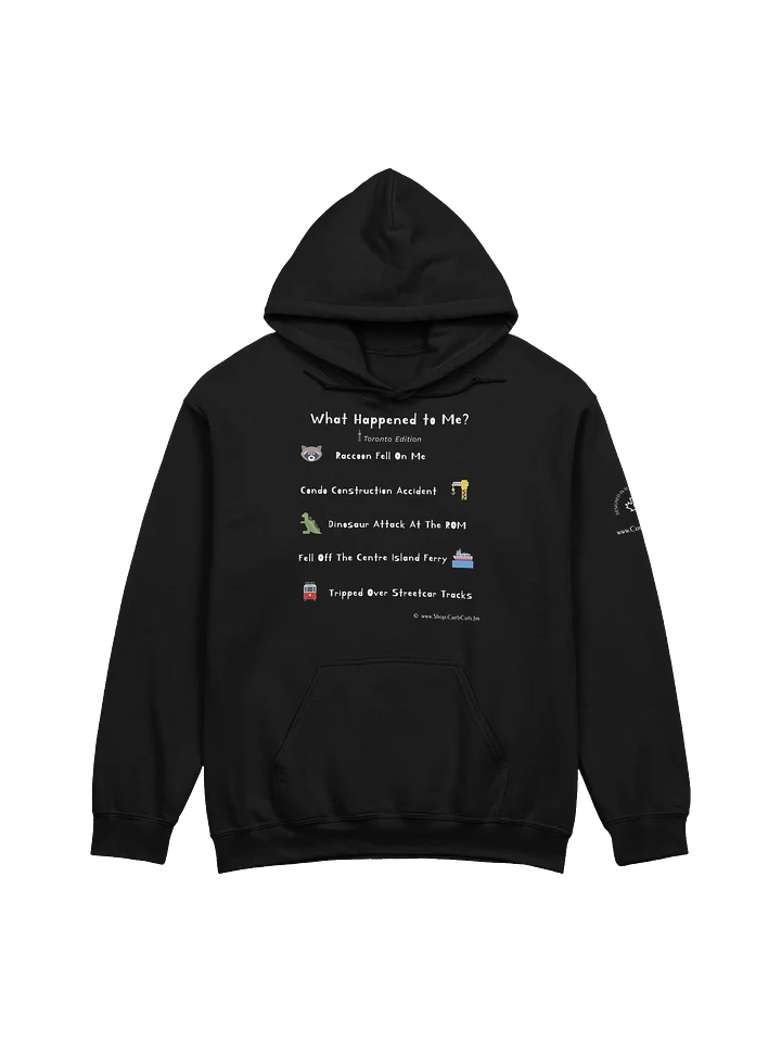 WHAT HAPPENED TO ME ? (Toronto Edition): Hoodie product image (5)