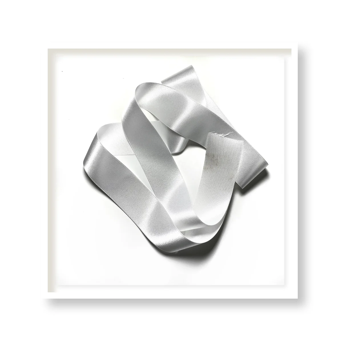 PLATINUM product image (1)