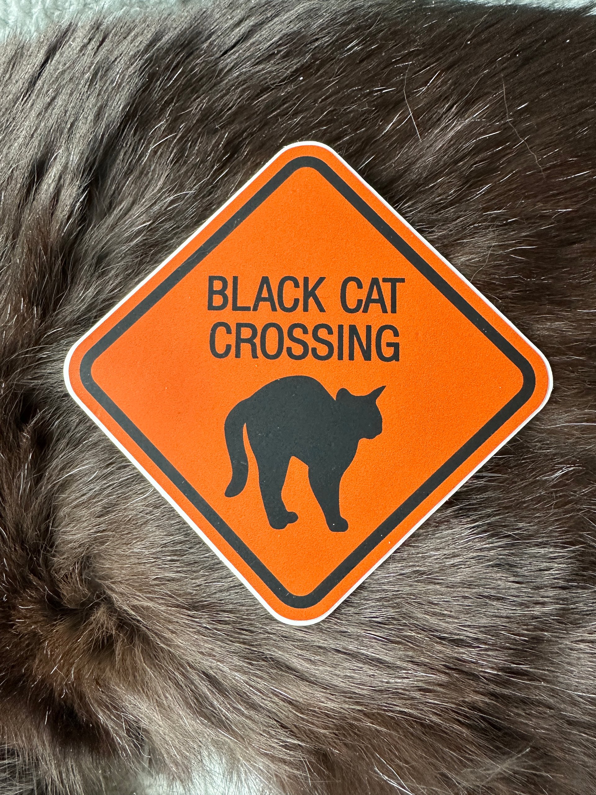 Halloween Black Cat Crossing sticker product image (1)