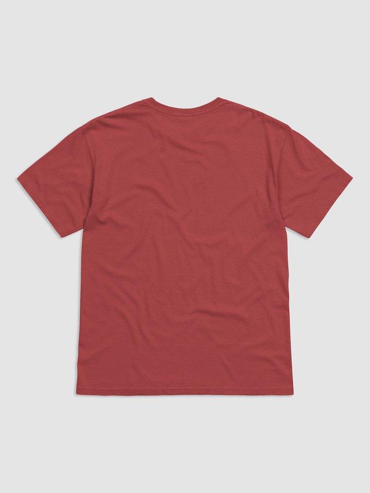 Healthy Is Wealthy Vegetarian & Vegan T-Shirt product image (2)