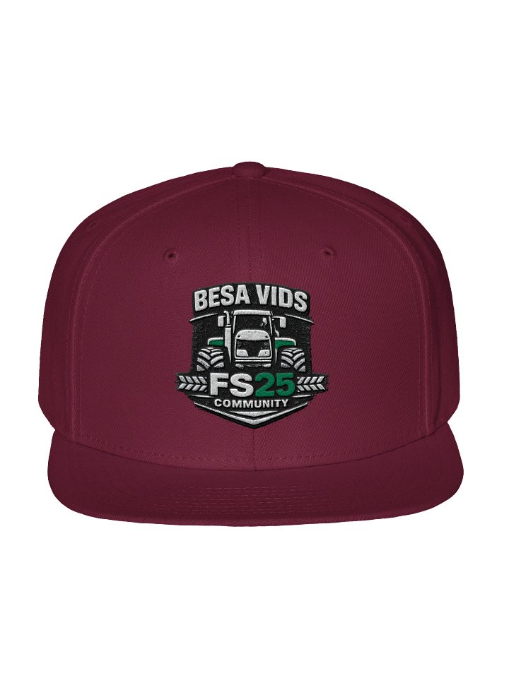 snapback pet product image (1)