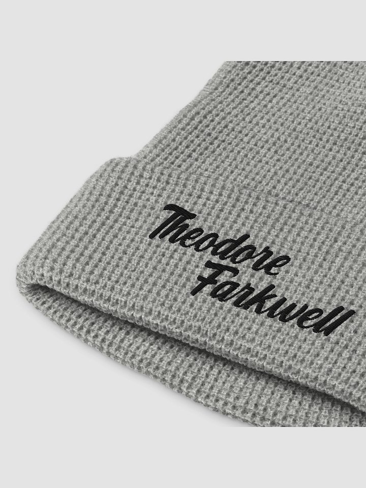 THEODORE FARKWELL BEANIE product image (1)