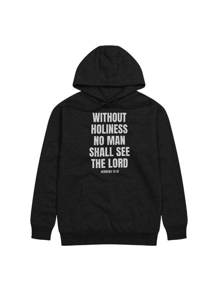 Without Holiness No Man Shall See The Lord Hebrews 12:14 Premium Hoodie product image (2)