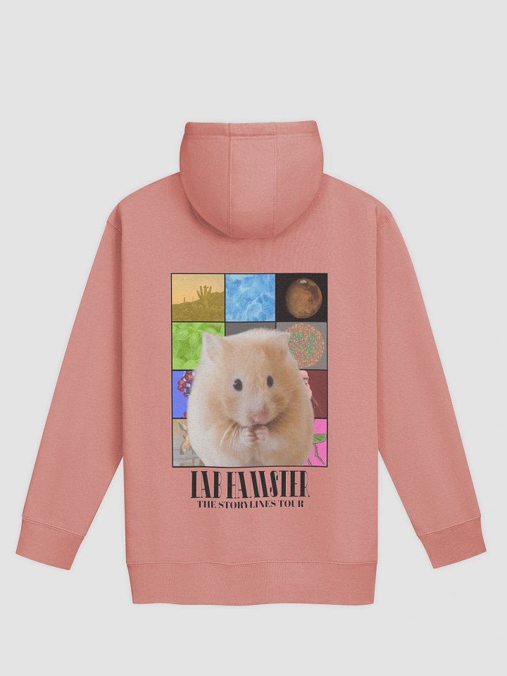 Lab Hamster Storylines Hoodie product image (9)