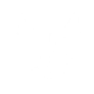 UberTallCats