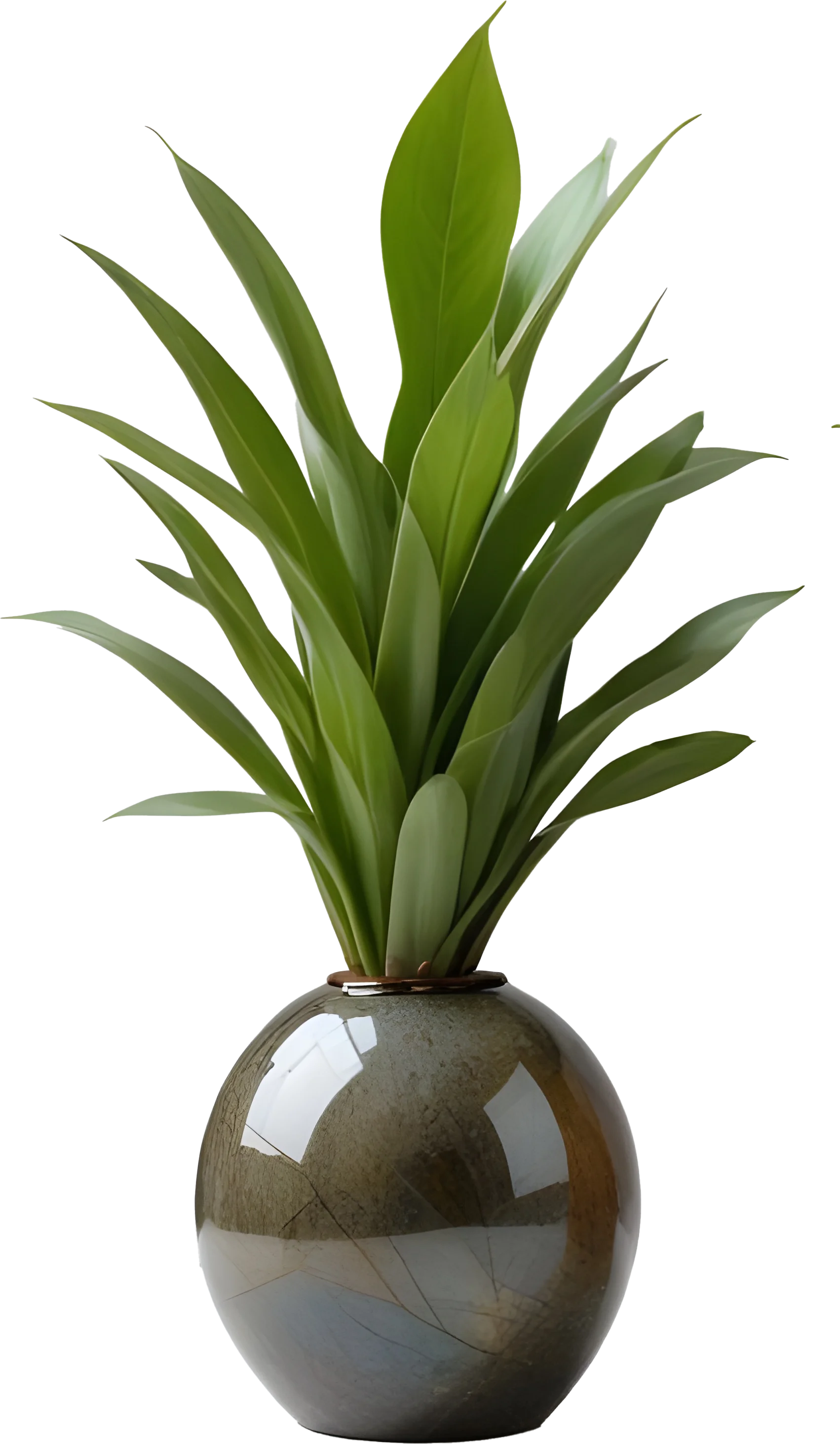 Natural Glow – Handcrafted Boho Vase PNG product image (1)