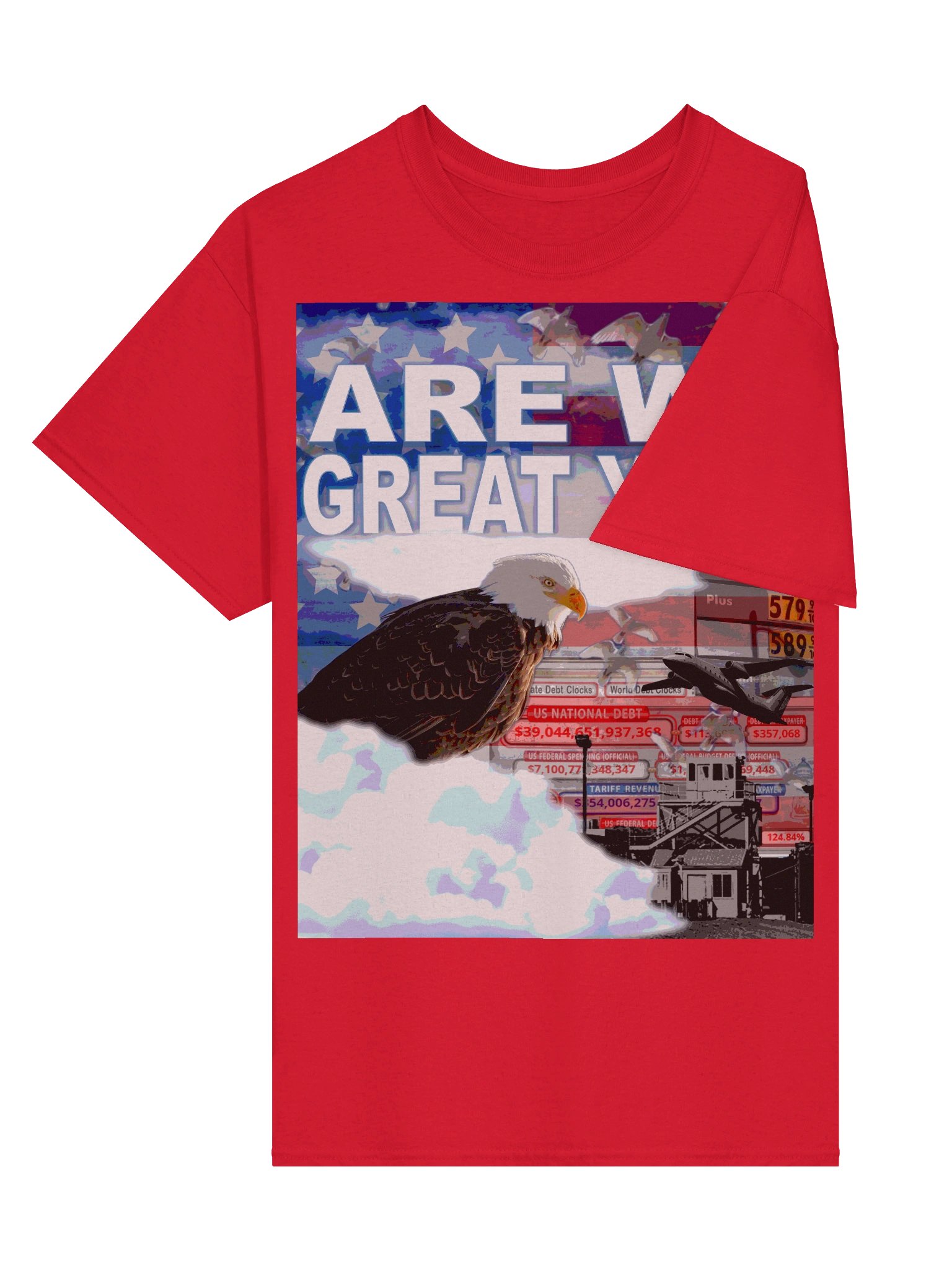 AMERICA HAS A PROBLEM... - T-SHIRT product image (39)