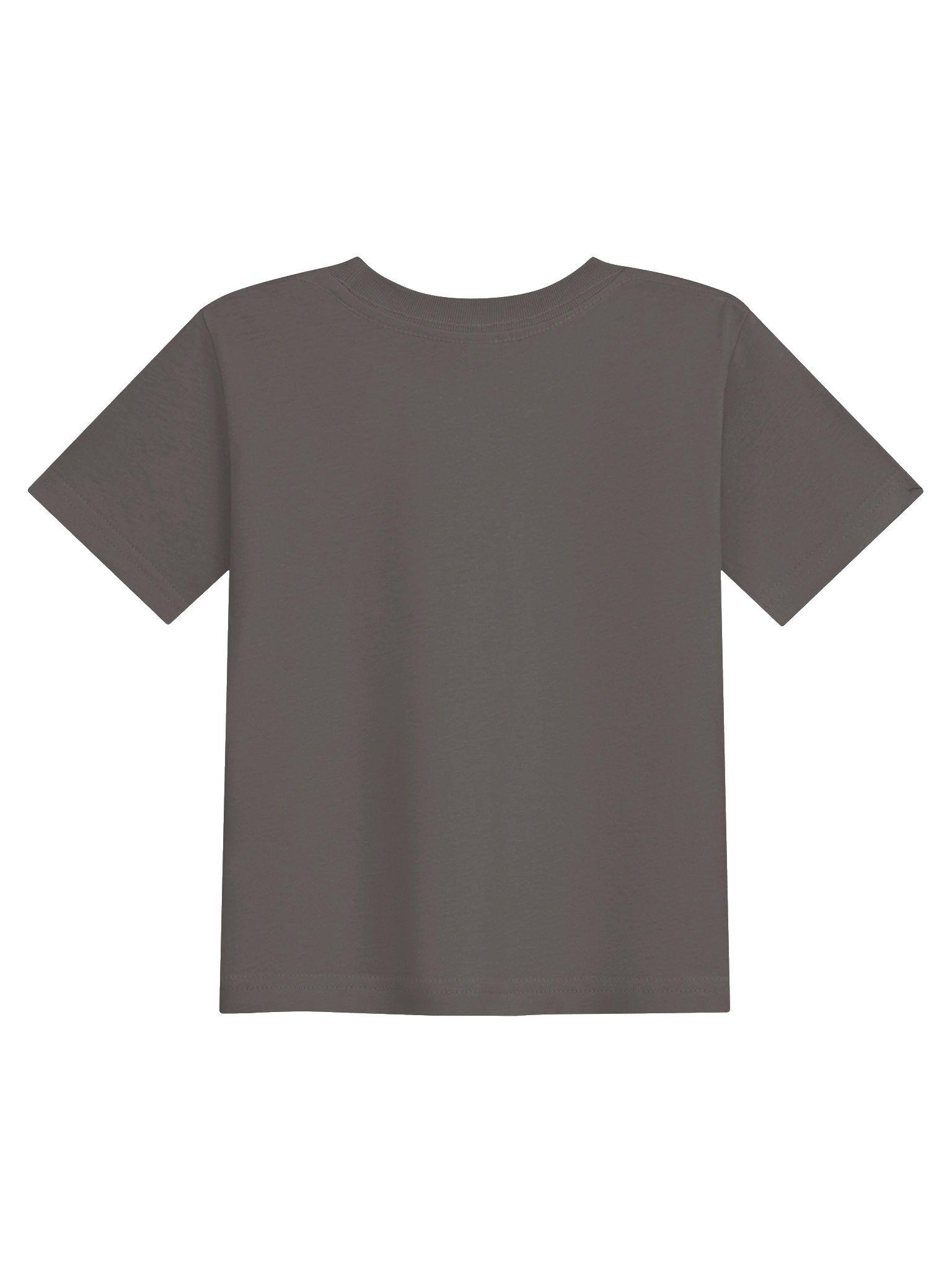 Undoctrinated Since birth Grey Toddler Tee - Confident Mama product image (2)
