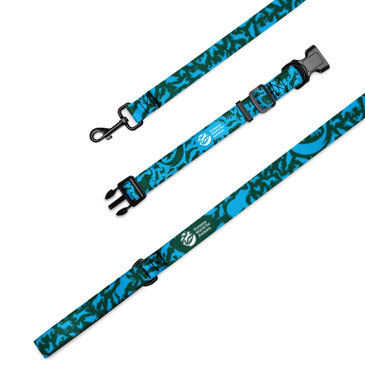 Animal Print - Pet leash and collar set product image (1)