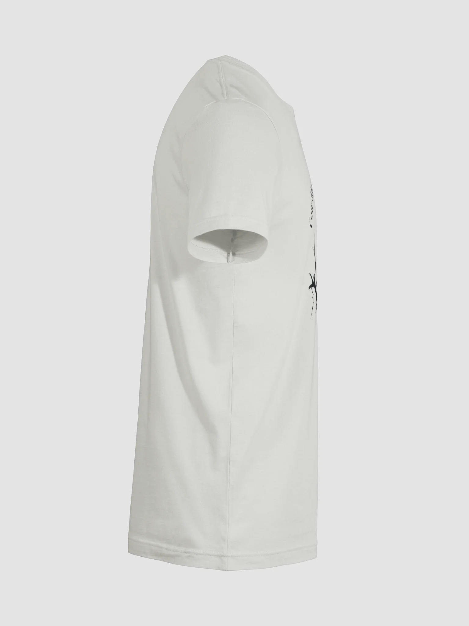 Caw bhfuil mo chairde? T-shirt product image (46)