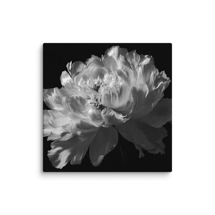 Carbon Bloom II — Ivory Mass Canvas product image (1)