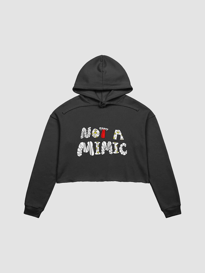 Not a mimic cropped hoodie product image (2)