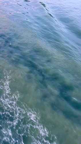 When a cruise to Alaska becomes about gratitude and peace. 

#travelreels #traveltheworld #cruise #alaska #solocruise