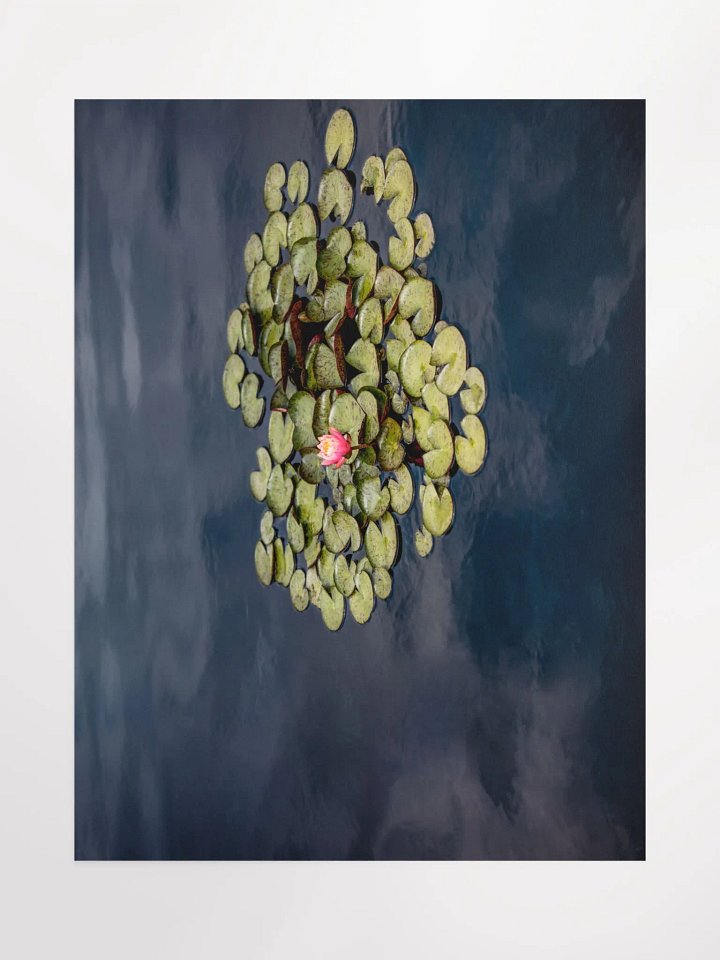 Print - Lily Pads product image (1)