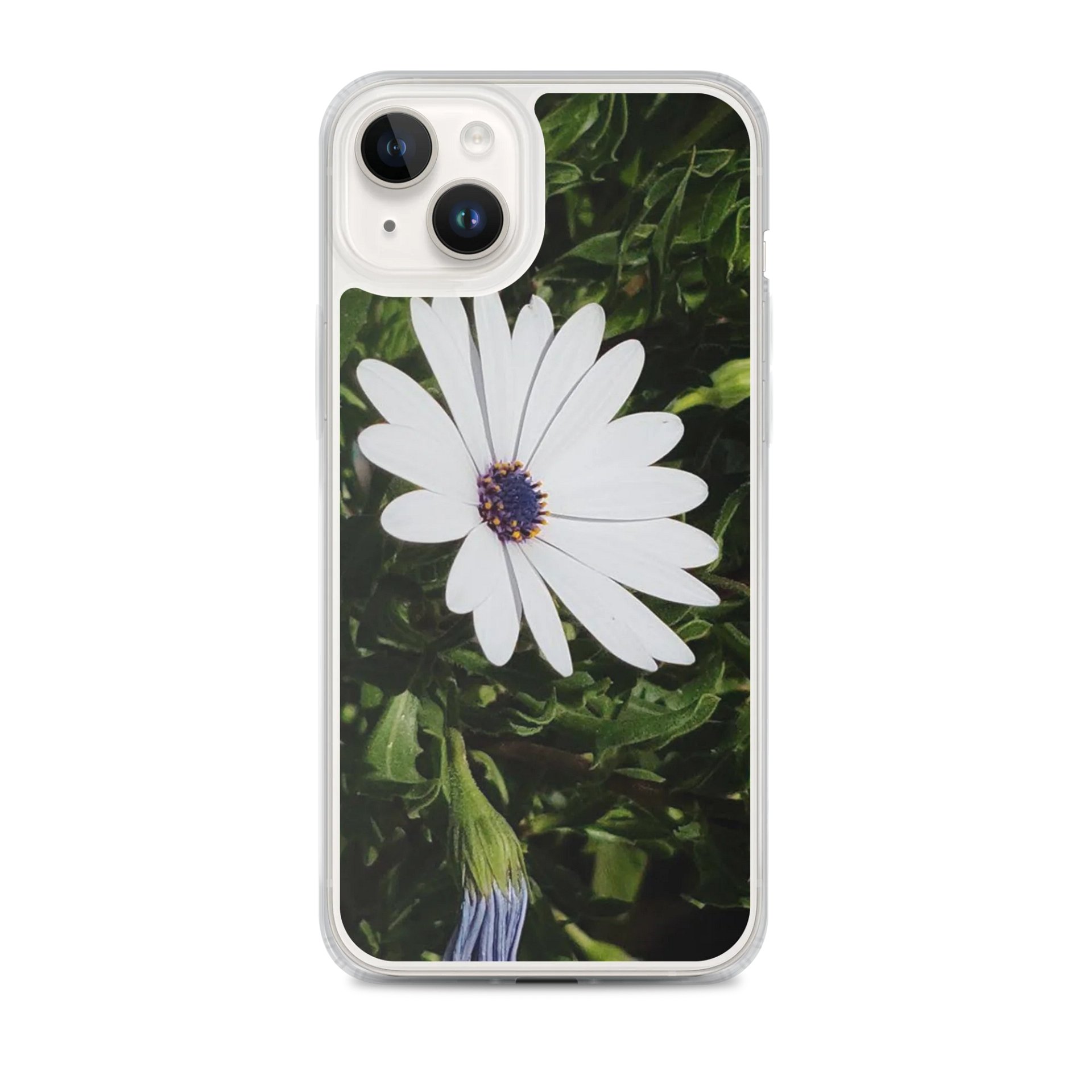 Daisy Delight iPhone® MagSafe® Clear Case product image (1)