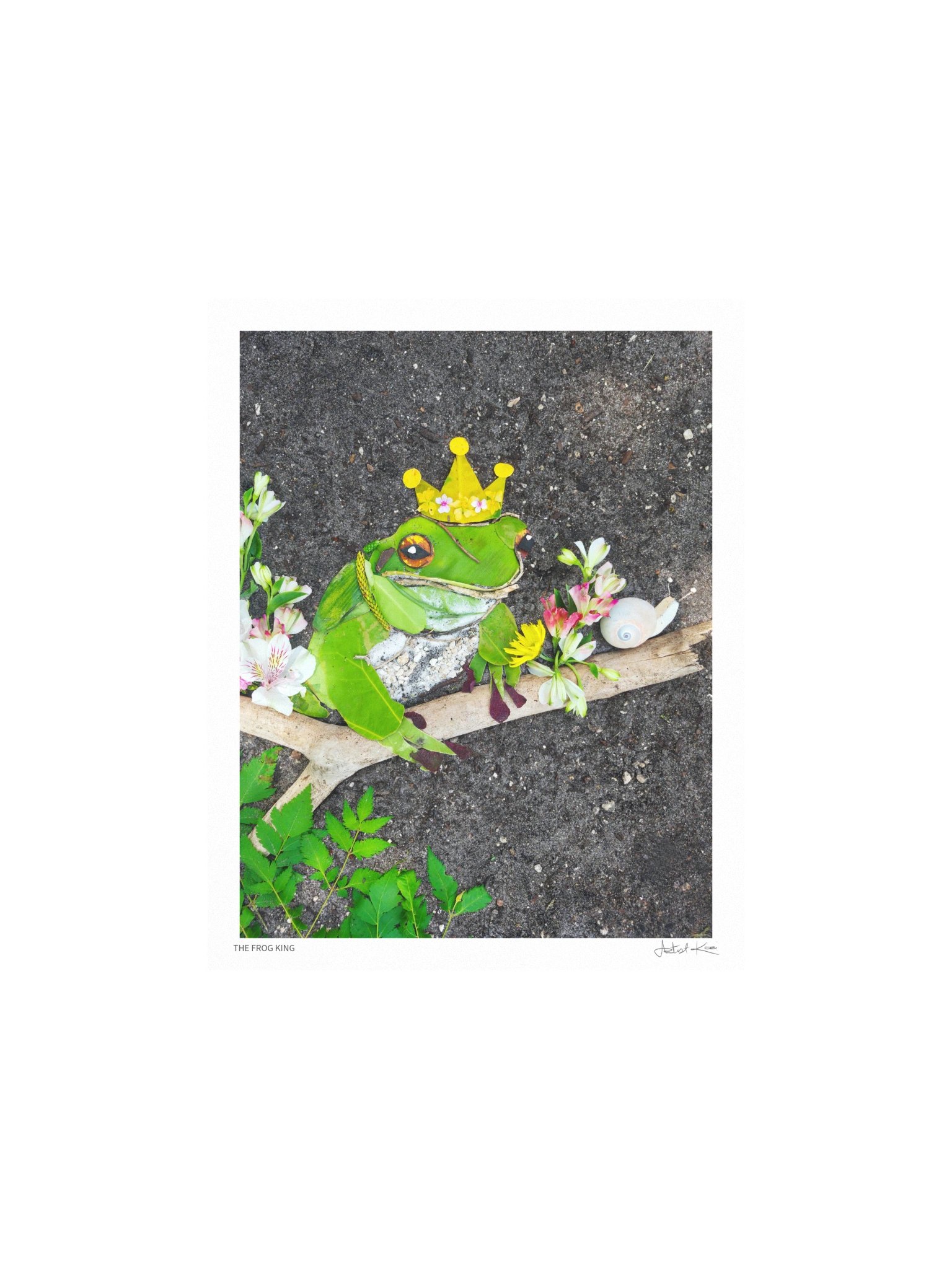 THE FROG KING | Nature Art Print product image (2)