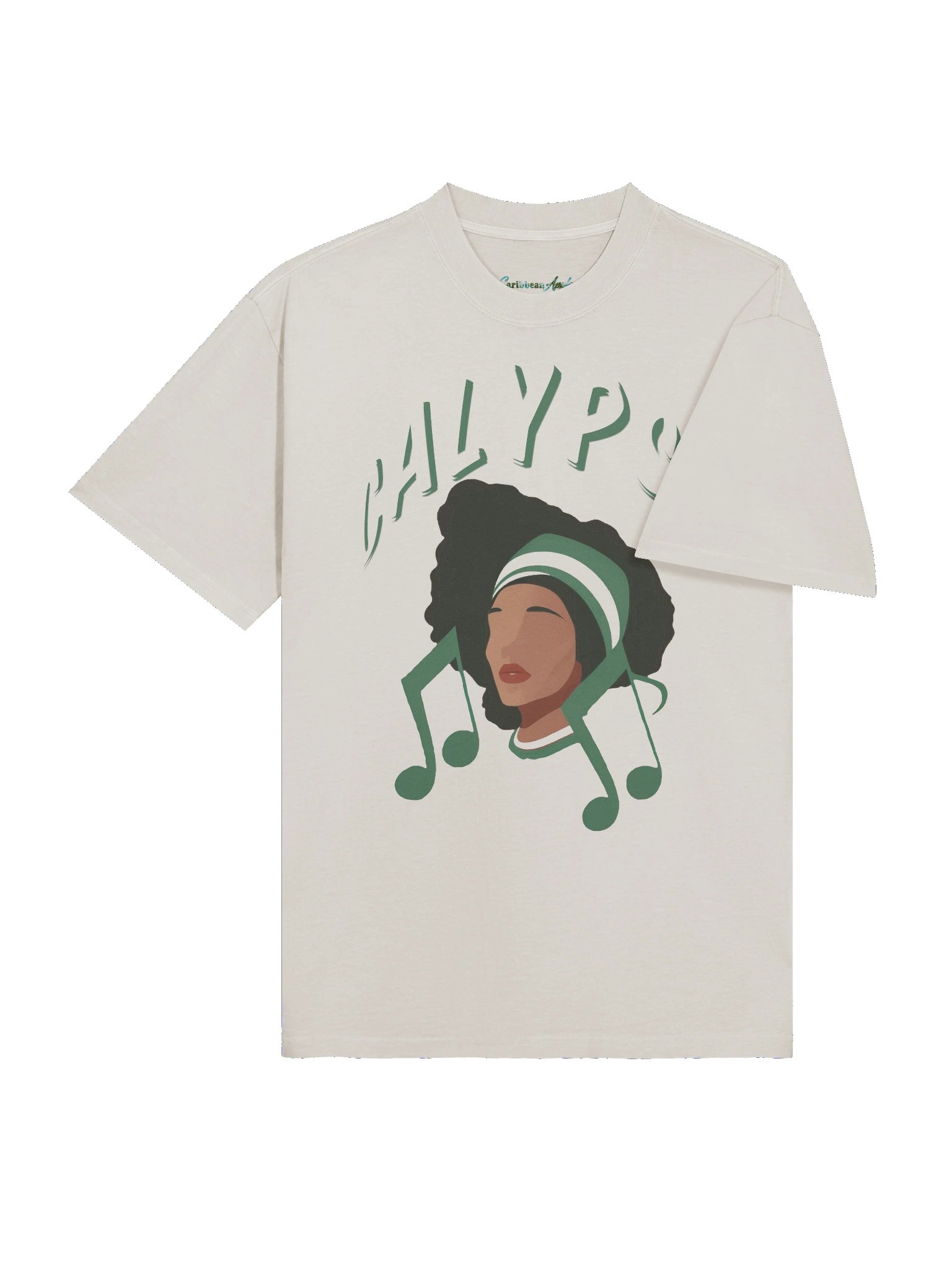 Calypso - Caribbean Apples | Premium Heavyweight Oversized Faded T-Shirt | 5 Colors product image (38)