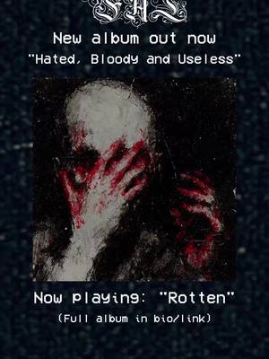 DSBM | Blackgaze | Postwhiskycigarettegaze New album: Hated, Bloody and Useless (instrumental) Out now on YouTube, all streaming platforms & Bandcamp CD & Vinyl coming soon #DSBM #Blackgaze #DepressiveBlackMetal #BlackMetal #Instrumental