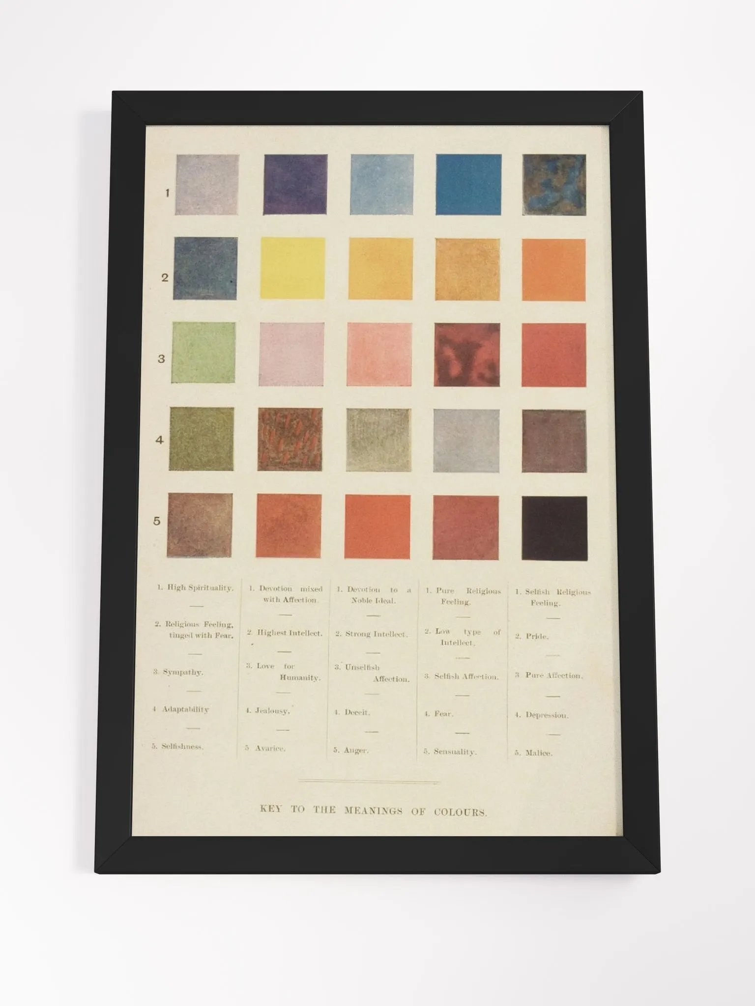 Color Theory product image (4)