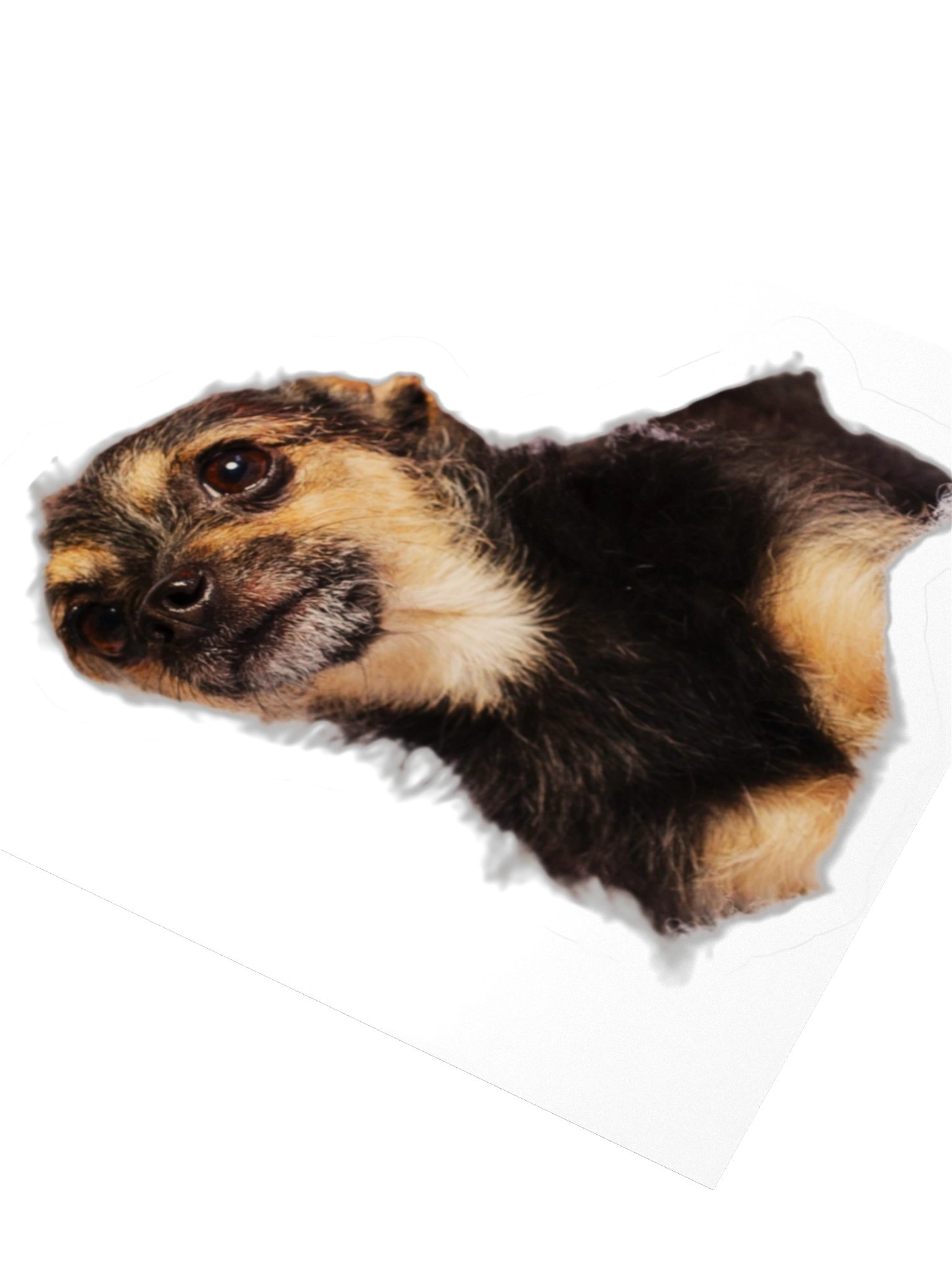Phillip the Small Sticker No. 2 product image (5)
