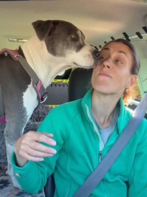 A quick unpolished day on the road. Actually went to Mount Rushmore the next day.​.. We went on an unexpectedly challenging hike, stumbled across the Dinosaur Park, and met the super nice parents of a friend from LA before settling down for the night with them… #roadtrip #carcamping #vanlife