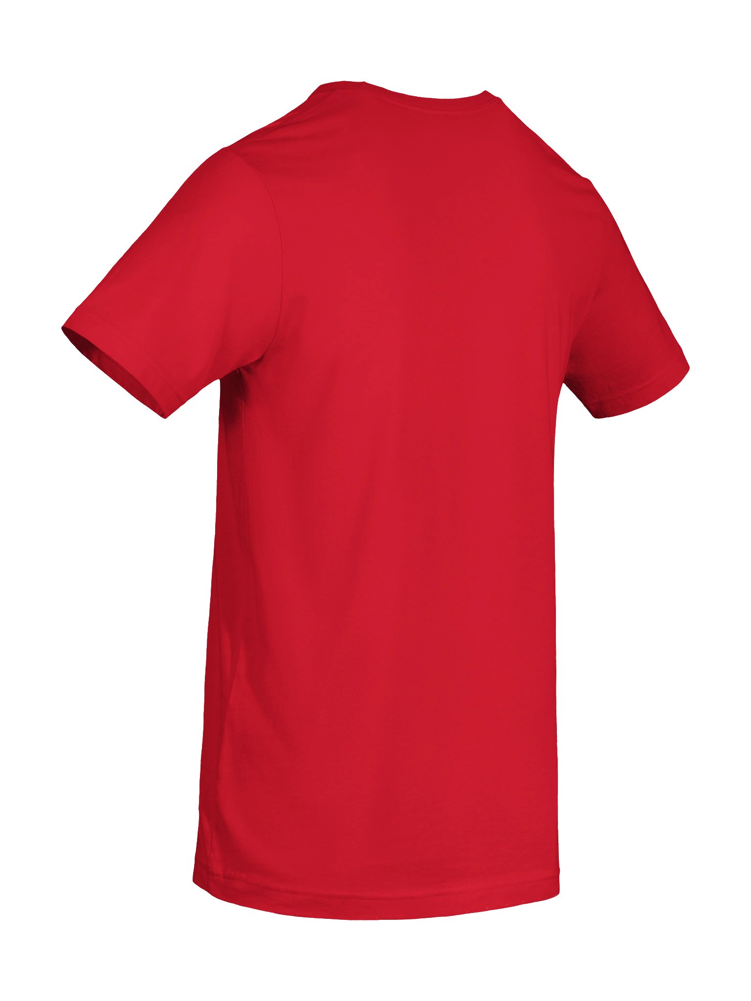 EVERYTHING WILL BE REVEALED shirt product image (58)