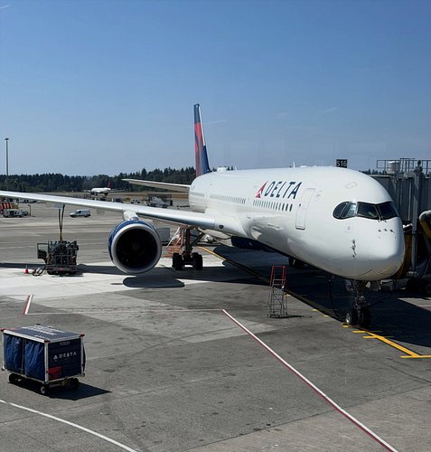Delta One the A350-900. This is the @delta suite. In our opinion this is currently the best business class seat in their flee...