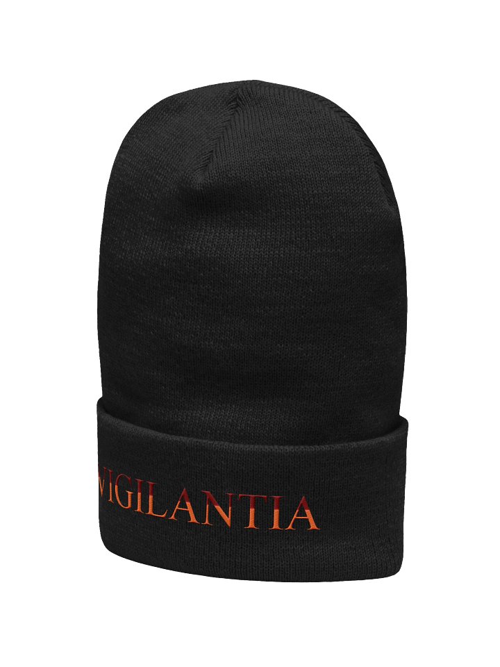 Vigilantia Beanie product image (2)