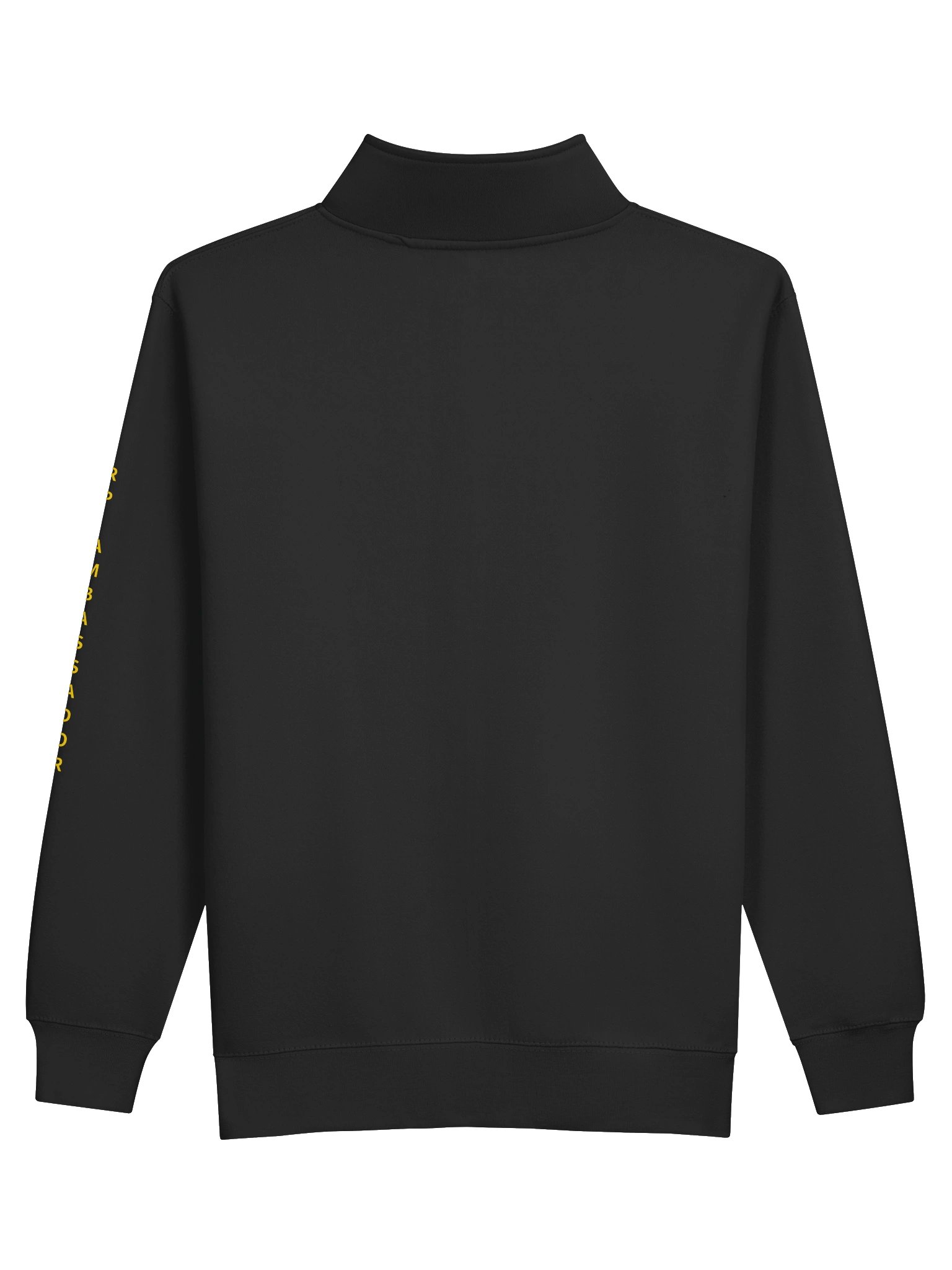 SNHU Ambassadors product image (2)
