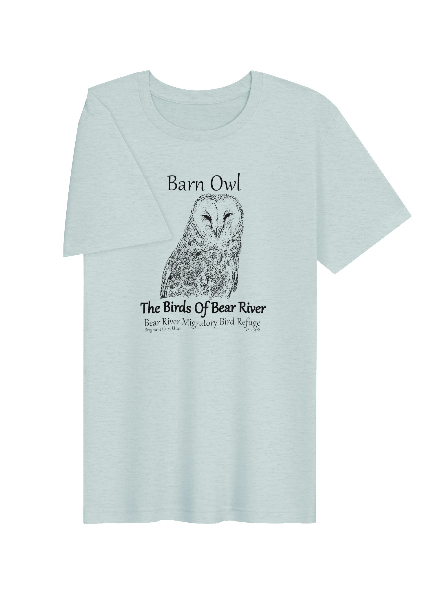 Birds of Bear River Barn Owl T-Shirt product image (115)