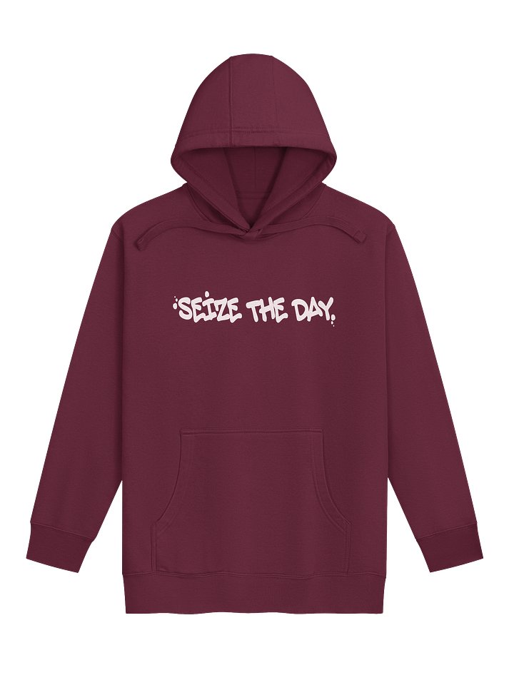 Seize The Day Premium Hoodie product image (13)