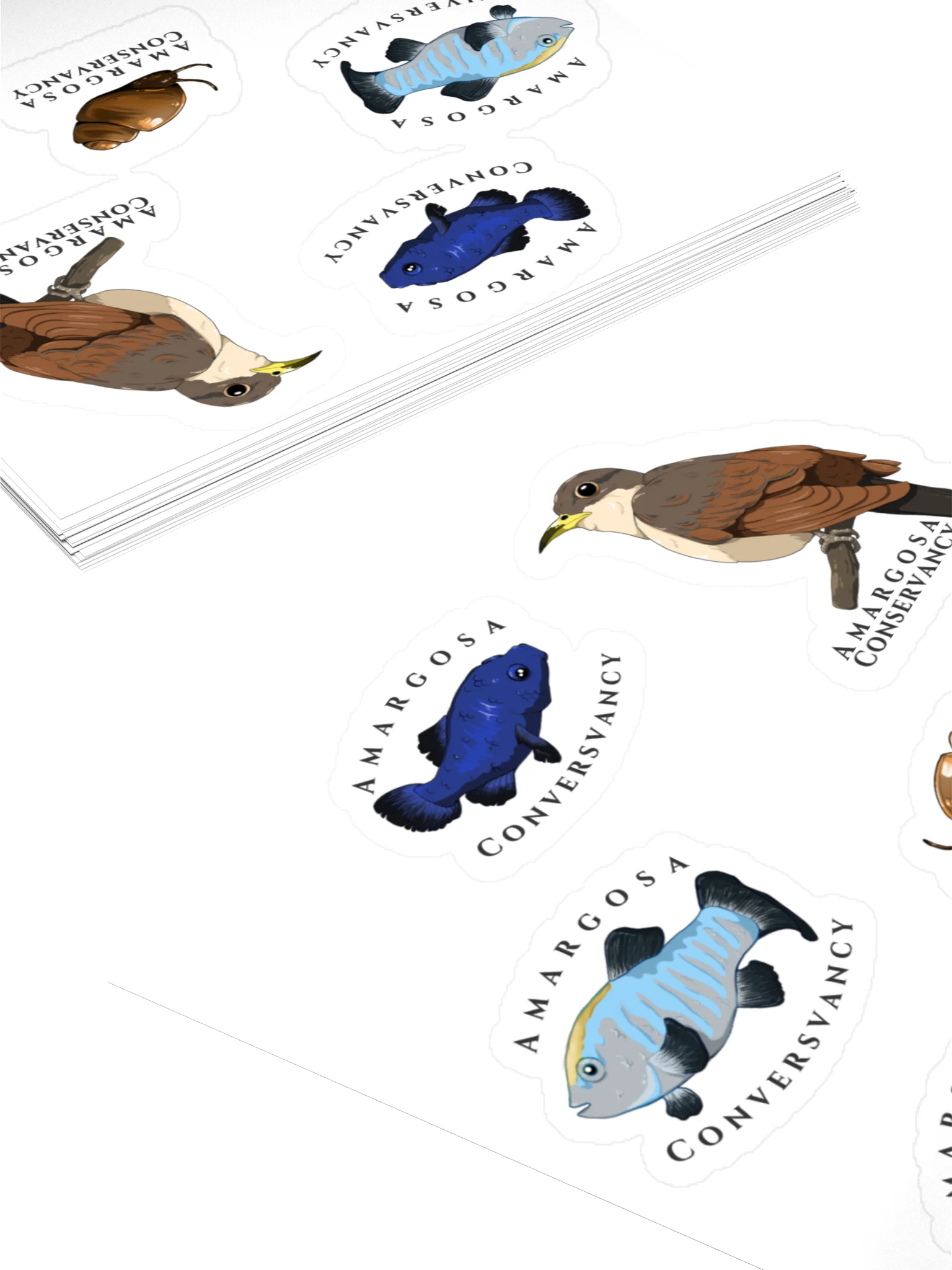 Amargosa River Basin Species Sticker Sheet product image (4)