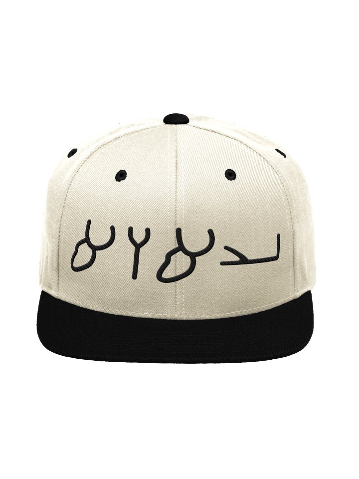 Knowledge Snapback | YAHUAH product image (2)
