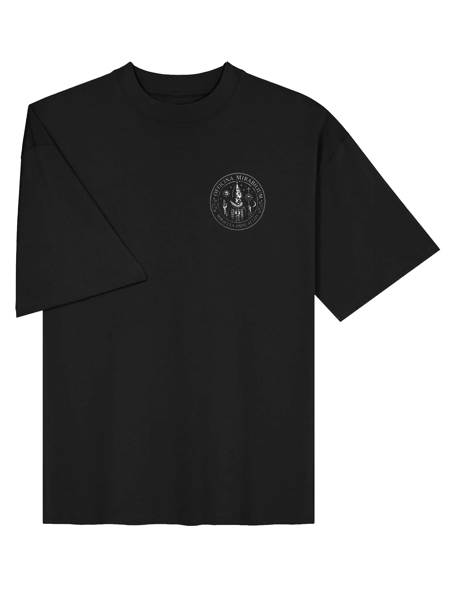 Logo Oversized Tee product image (3)