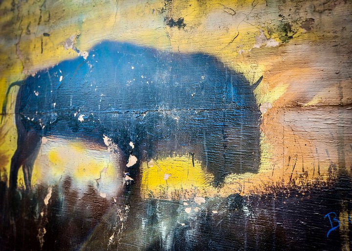 Bob the Buffalo. product image (2)