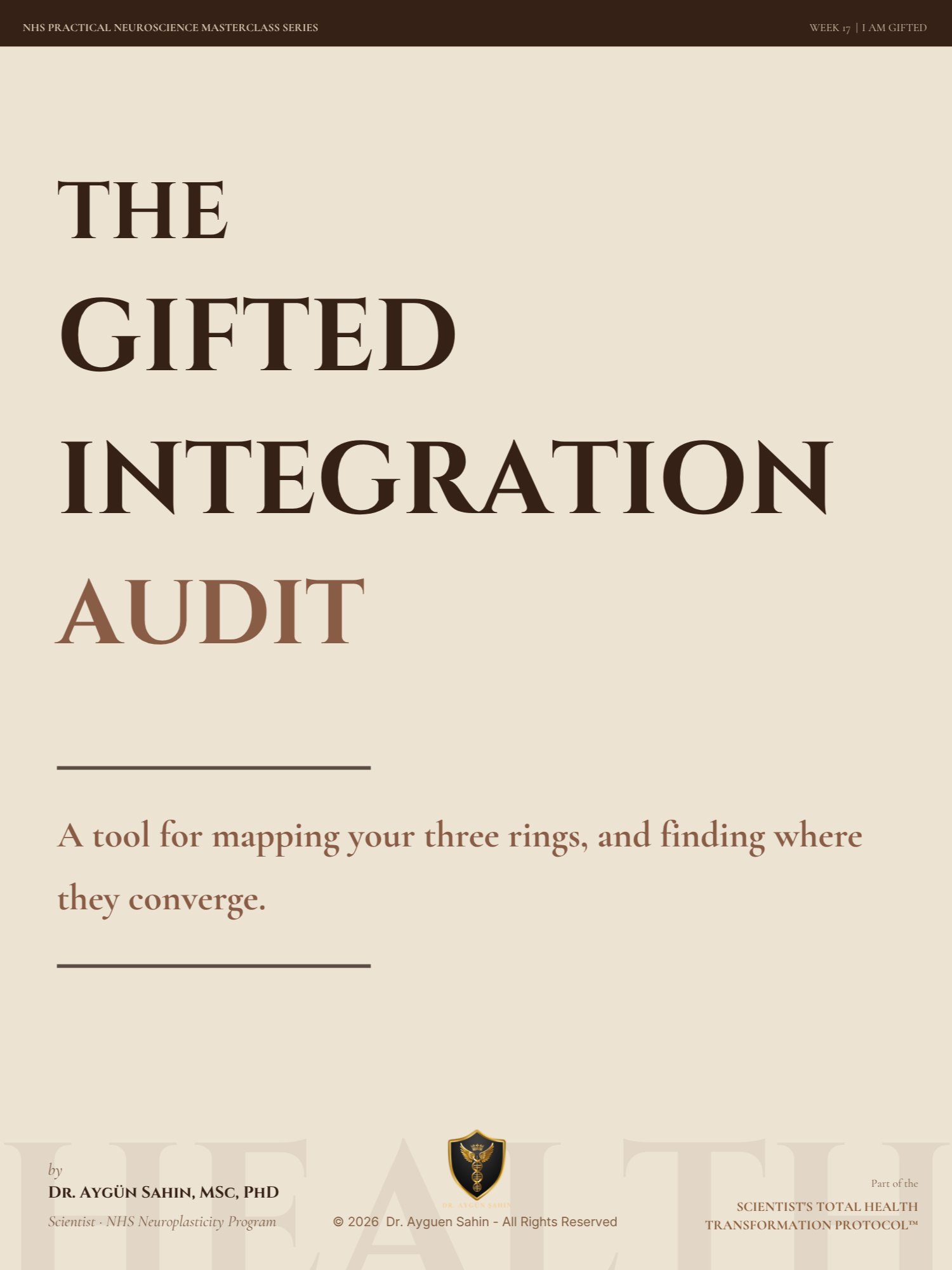 GIFT INTEGRATION AUDIT product image (1)