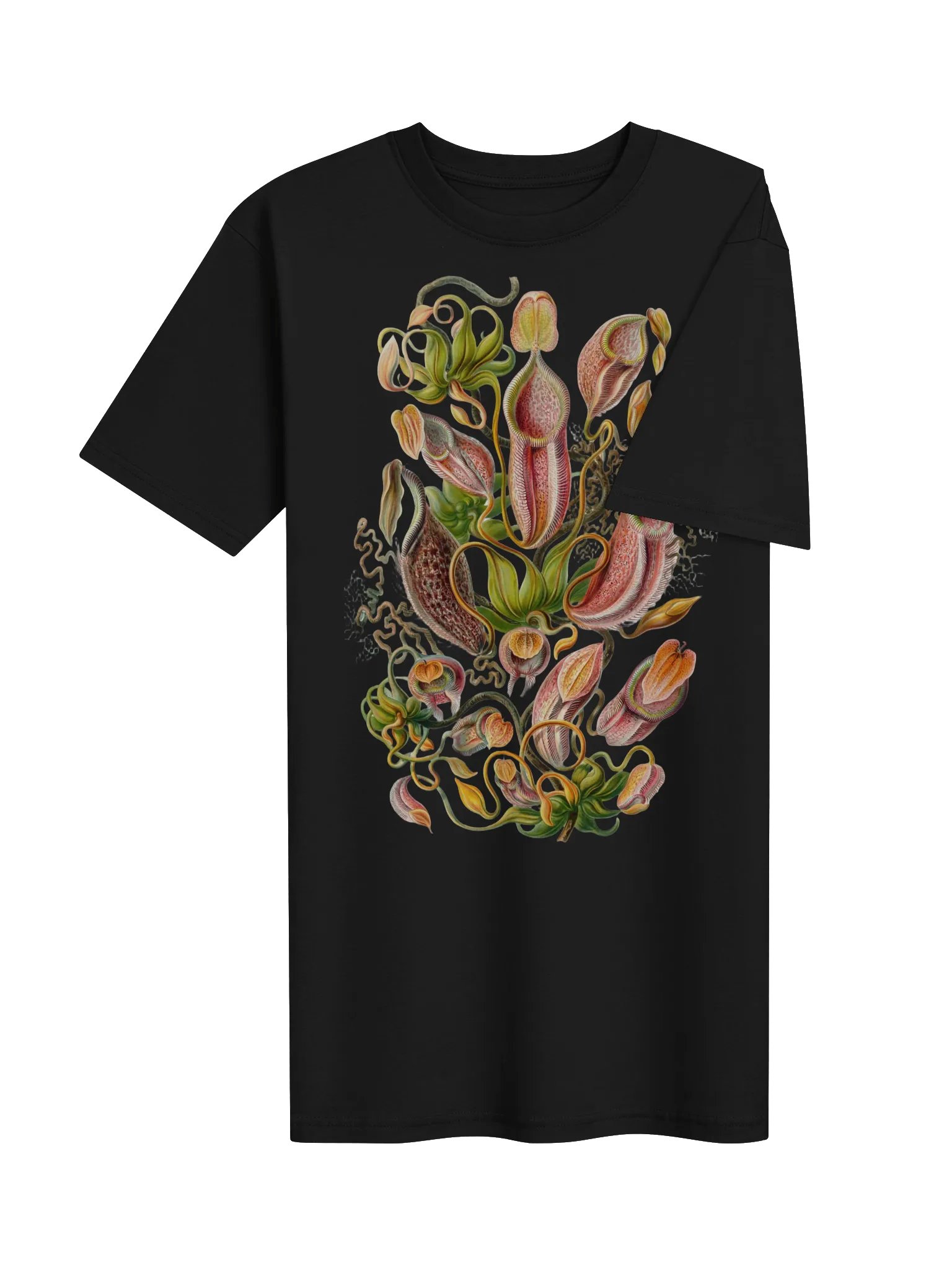 Ernst Haeckel - Nepenthaceae (pitcher plants) product image (4)