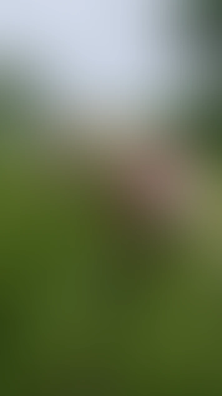 Video thumbnail background
