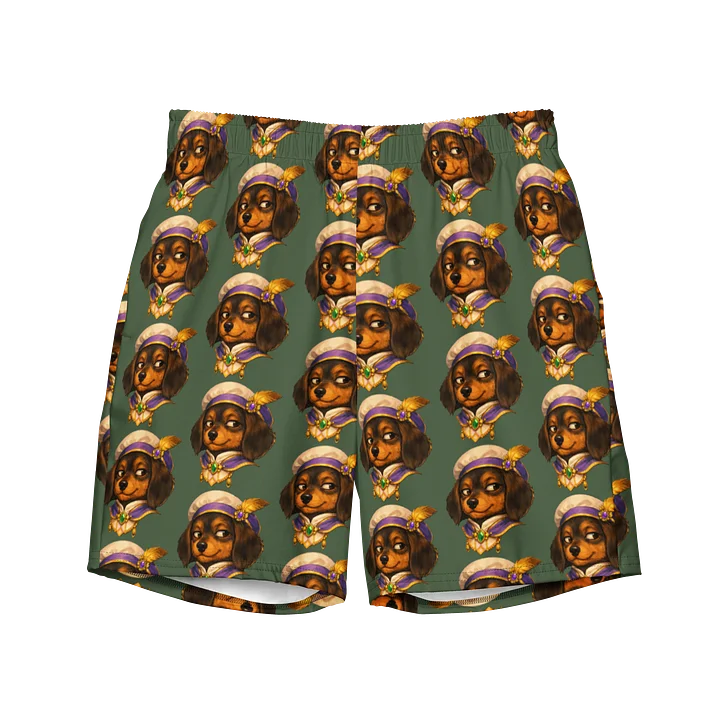 Kingdom Herald 2 All-Over Print Swim Trunks product image (1)